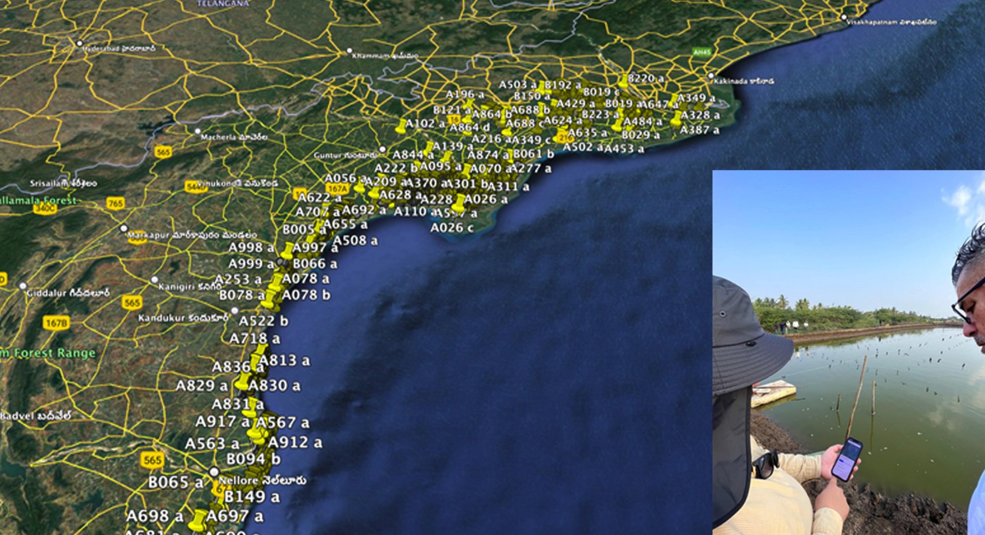 Chain of custody infographic showing farm registration and traceability