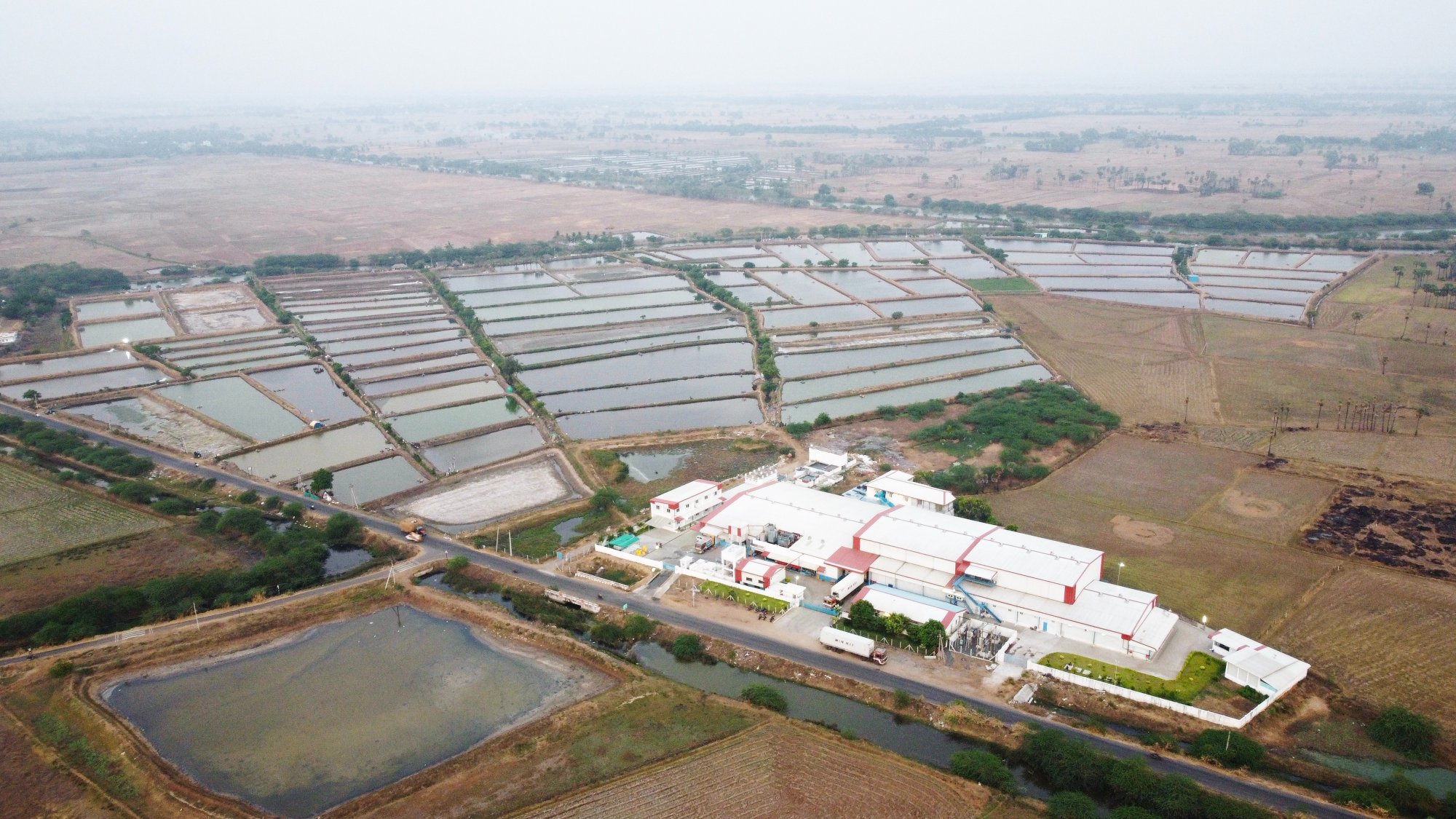 Exterior view of the Abad Overseas Nizampatnam processing facility